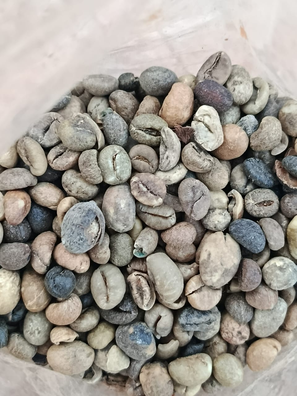 Raw agricultural product sample